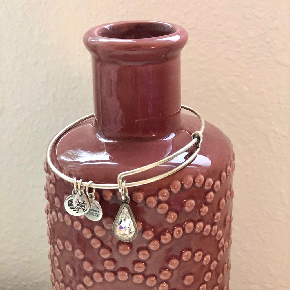 Alex and Ani charm bangle